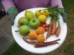photo of fruit and vegetables from the garden one Feburary day