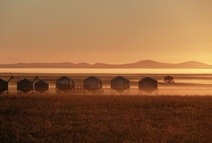 Poochera View to Gawler ranges