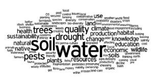 word cloud of farming issues for sustainability